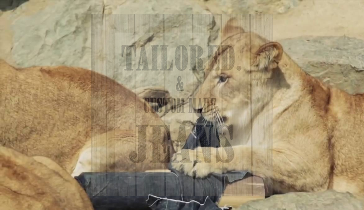 All about lion ripped jeans!